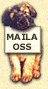 Klicka på valpen för att maila oss